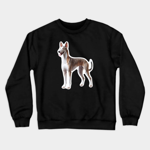 Azawakh Crewneck Sweatshirt by millersye